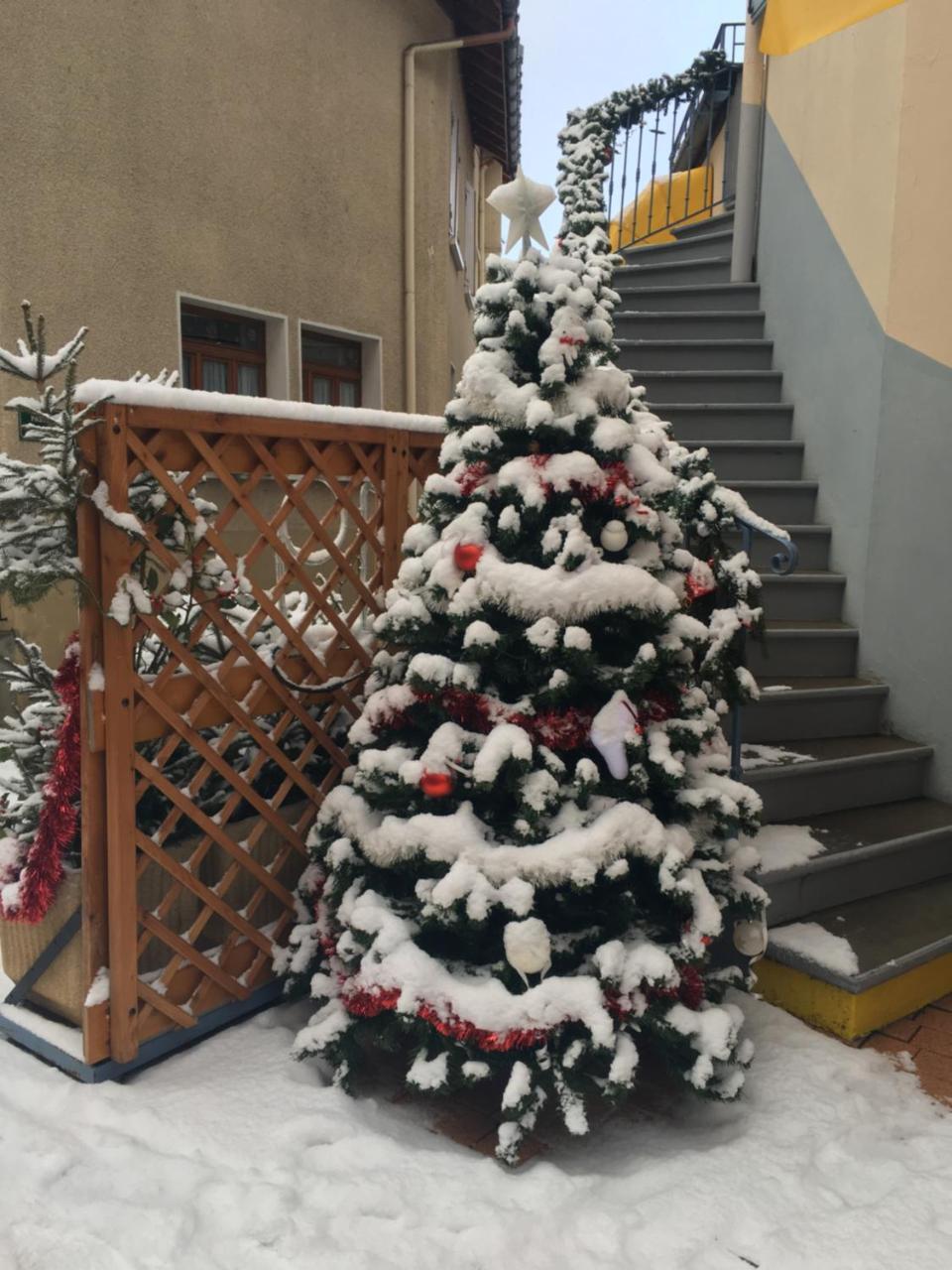 Hotel Du Grand-Mont Beaufort  Esterno foto